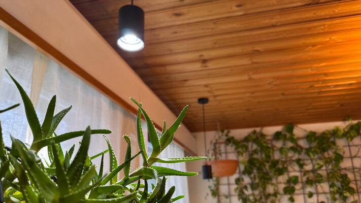 A grow light ensures your houseplants thrive year-round—even in windowless spaces